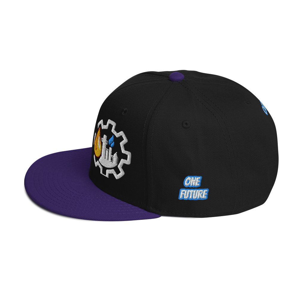 TEXAS industry style Snapback Hat (multicolor)